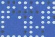 Punch Card Blue Jay