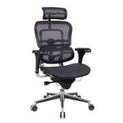 Ergohuman Mesh Office Chair with Headrest
