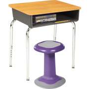Learn @ Home Set w/ 13" Active Seat
