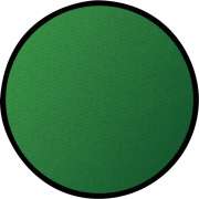 Solid Green Round Carpet