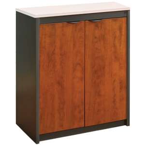Counter-Height School Office Storage Cabinet  - No Top