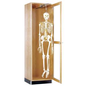 Skeleton Cabinet  - Retractable Glide