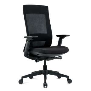 Elevate Mesh Office Chair - Black Frame