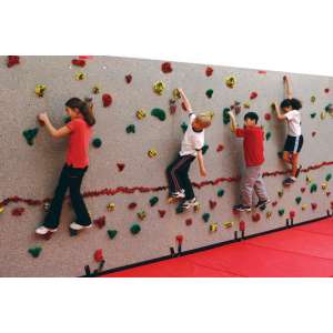Climbing Wall Extension (4'Lx10'H)