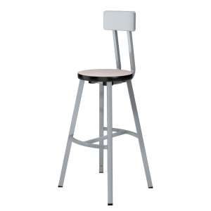 Titan Lab Stool with Backrest - HPL Seat (30"H, 2 Pack)