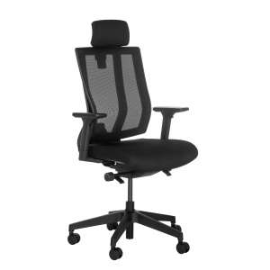 Ergonomic Task Chair with Headrest