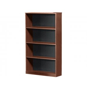 Bookcase with Solid Back